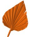 Palmspear orange 65St.