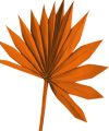 Palmspear Sun orange 30St.
