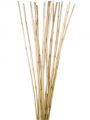 Rattan Stiele 100cm gebleicht 20St.