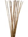 Rattan Stiele 100cm natur 20St.