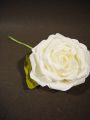 Foam Rose Ø 10cm creme 8St