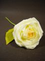 Foam Rose Ø 10cm hellgelb 8St