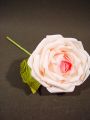 Foam Rose Ø 10cm lachsrosa 8St