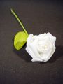 Foam Rose Ø 6cm weiß 24St