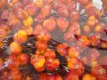 Rosenknospenbund x12 herbstlich 18 Bündel