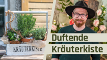 Kräuter Dekoration