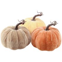 Kategorie Kürbis Deko Halloween