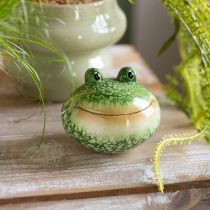 Artikel Deko Frosch Figur für verspielte Wohn und Gartendekoration grün 11cm 2St