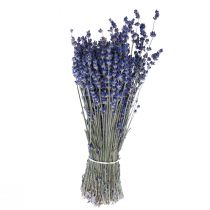 Artikel Getrockneter Lavendel Bund Trockenblume Blau 25cm 75g