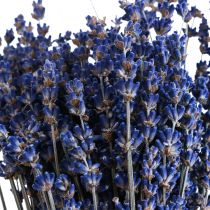 Artikel Getrockneter Lavendel Bund Trockenblume Blau 25cm 75g
