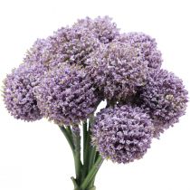 Artikel Kunstblumen Kugelblume Allium künstlich Violett 25cm 12St