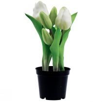 Artikel Künstliche Tulpen im Topf Weiße Tulpen Kunstblumen 22cm