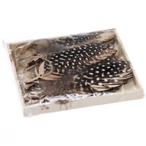 Artikel Deko Federn Anhänger Holz Naturfeder 9,5/10cm 9 St