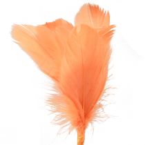 Artikel Deko Federn Orange Vogelfedern am Stab 36cm 12St