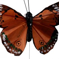 Artikel Deko Schmetterlinge am Draht Federn Grün Pink Orange 6,5×10cm 12St