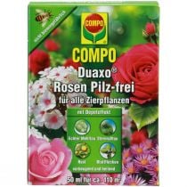 Floristik24 Compo Duaxo Rosen Pilz-frei Fungizid 50ml