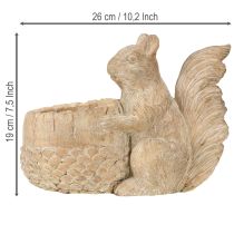 Artikel Übertopf mit Eichhörnchen Steinguss Deko 26×14×19cm