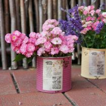 Artikel Deko Dose Shabby Chic Metall Ø11cm H10,5cm Verschiedene Farben