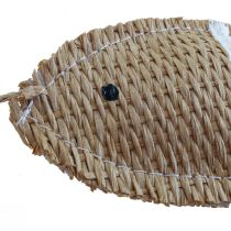 Hängedeko Deko Fische zum Aufhängen Maritime Deko gestreift 14,5×6cm