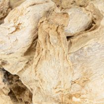 Artikel Getrockneter Ingwer Deko Naturdeko 500g
