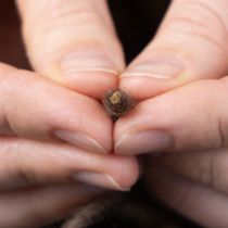 Artikel Dochtfaden Wollkordel Braun 55m Dekoschnur für Floristik Basteln