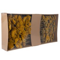Artikel Achillea Natur Gelb Schafgarbe Trockenblumen Gelb 1kg