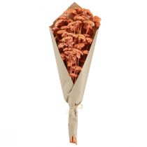Artikel Achillea Schafgarbe getrocknet Wiesenblumen Lachs 40-50cm 80g