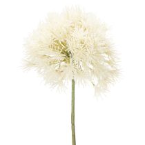 Artikel Allium Kunstblume zierliche Gestaltung für den Innenbereich 68cm