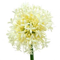 Zierlauch Allium künstlich Weiß 51cm 4St