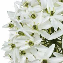 Artikel Deko-Blume Allium, künstlicher Kugellauch, Zierlauch Weiß Ø20cm L72cm