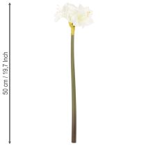 Artikel Kunstblume Amaryllis Weiß mit Stiel Advent und Weihnachten 50cm