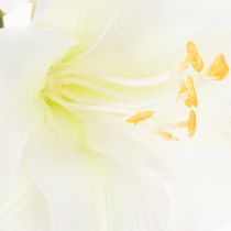 Artikel Kunstblume Amaryllis Weiß mit Stiel Advent und Weihnachten 50cm