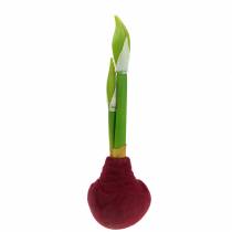 Amaryllis-Knolle mit Knospen Künstlich 30cm Burgund