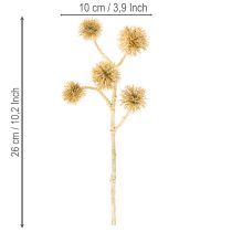 Artikel Künstlicher Zweig Amberfrucht Gold Dekoration 26cm Bund mit 6St