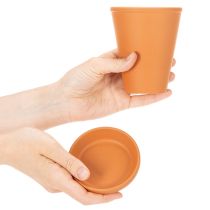 Artikel Aquasafe Wasserspeicher mit Insektentränke für Garten Balkon Terrasse 12cm 3St