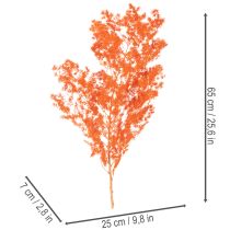 Artikel Trockenblumen Asparagus Zweig Zierspargel gefärbt 65cm 80g