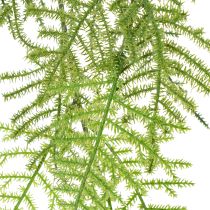 Artikel Künstlicher Asparagus als Hängepflanze für pflegeleichte Wohnraumdekoration 75cm
