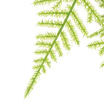 Artikel Künstlicher Asparagus als Hängepflanze für pflegeleichte Wohnraumdekoration 75cm