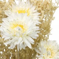 Artikel Künstlicher Blumenstrauß mit Astern und Schleierkraut in Beige und Weiß, Perfekt für Hochzeitsdeko und Herbstarrangements, 43cm