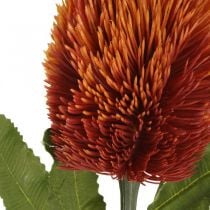 Kunstblume Banksia Orange Herbstdeko Trauerfloristik 64cm
