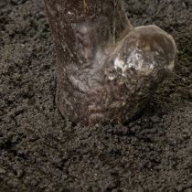 Artikel Künstlicher Baum mit filigranen Blättern 120 cm