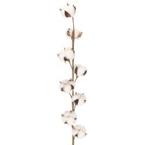 Artikel Künstlicher Baumwollzweig mit 8 echten Blüten 78cm