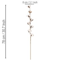 Artikel Künstlicher Baumwollzweig mit 8 echten Blüten 78cm