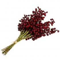 Artikel Beerenpick Rot 23cm 12 St