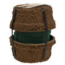 Artikel Nass Steckschaum Schale für Blumen Gestecke Ø18cm 2 St