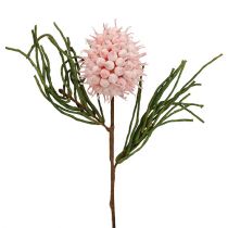 Blütenzweig Foam Pink/Grün 65cm