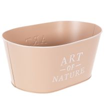 Artikel Blumenschale oval Zink Altrosa Übertopf 27×18cm H12,5cm