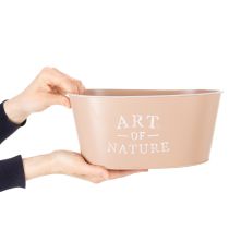 Artikel Blumenschale oval Zink Altrosa Übertopf 27×18cm H12,5cm