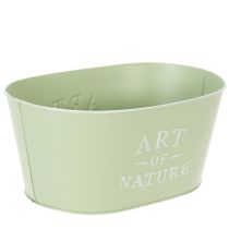 Artikel Blumenschale oval Zink Mintgrün 27×18cm H12,5cm