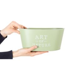 Artikel Blumenschale oval Zink Mintgrün 27×18cm H12,5cm